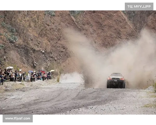 2014汽车赛事(2014s赛)